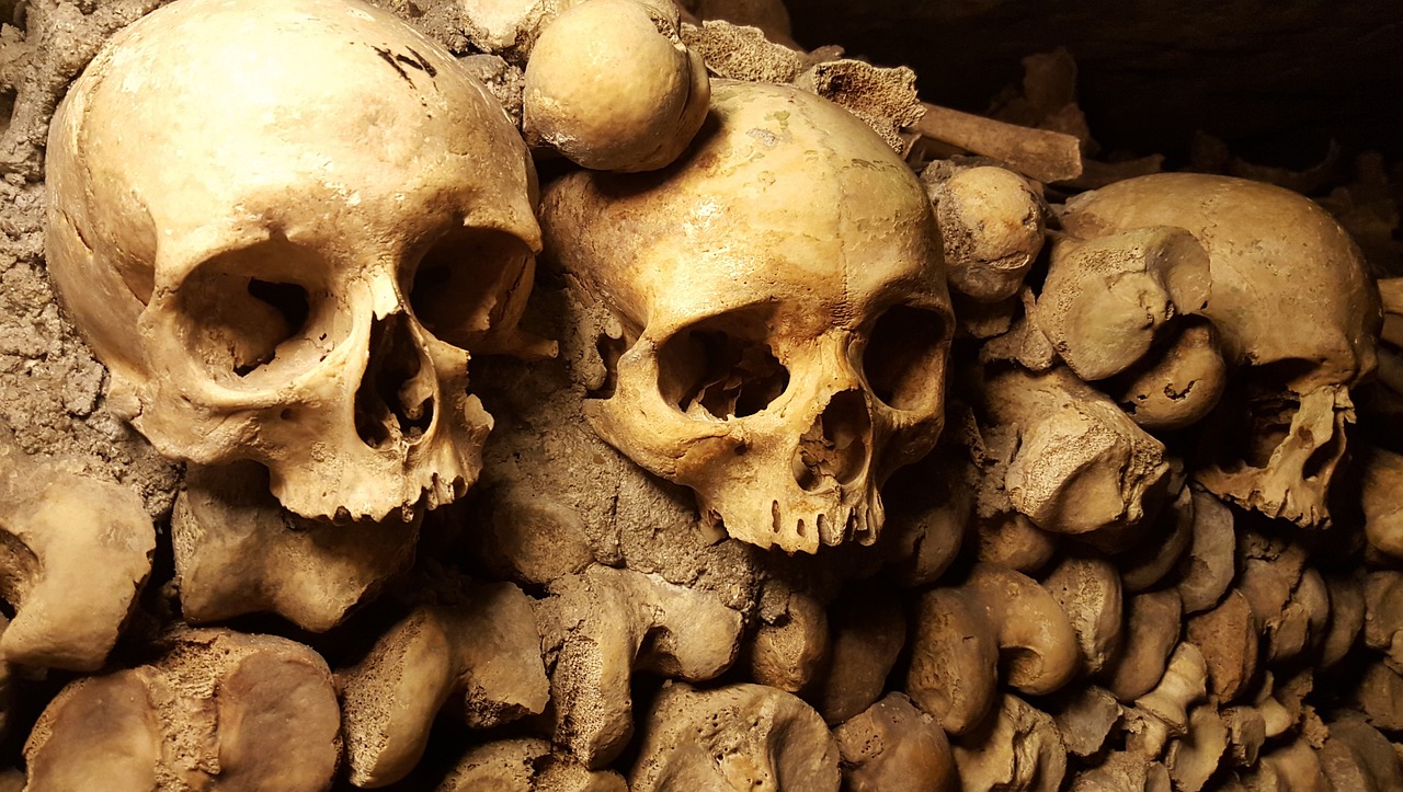 a bunch of skulls stacked on top of each other, a photo, by Tom Wänerstrand, les catacombes, 🎨🖌️, stock photo, cavities