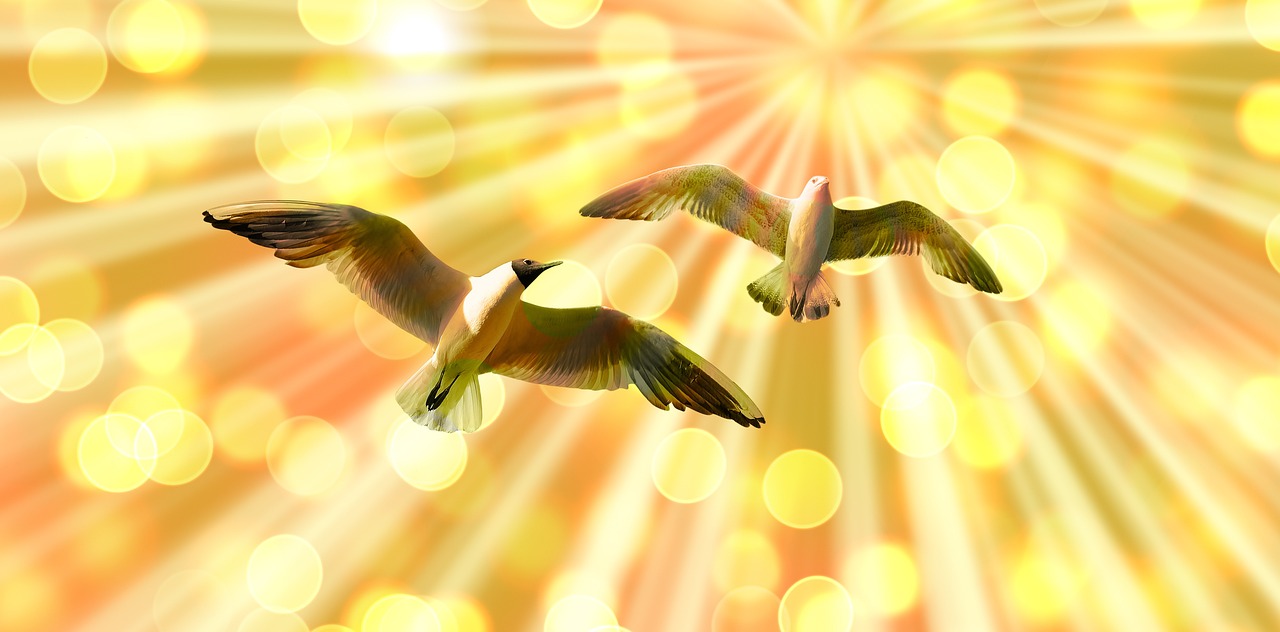 a couple of birds that are flying in the sky, a digital rendering, golden heavenly lights, rayonism light effects and bokeh, seagull, flash photo