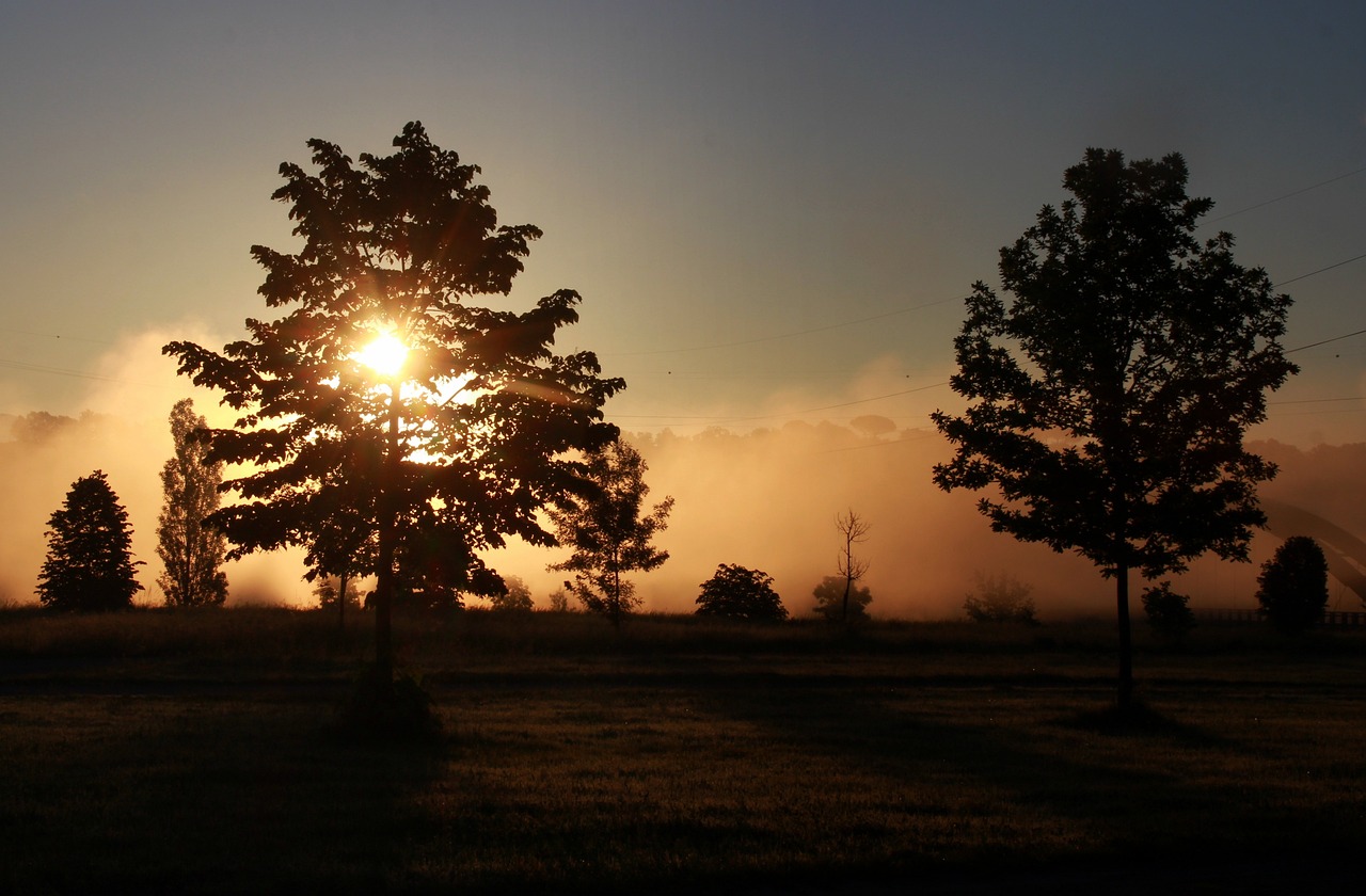 the sun is setting behind a tree in a field, a picture, by Istvan Banyai, flickr, romanticism, god rays in volumes of fog, two suns are in the sky, summer morning dew, fog. by greg rutkowski
