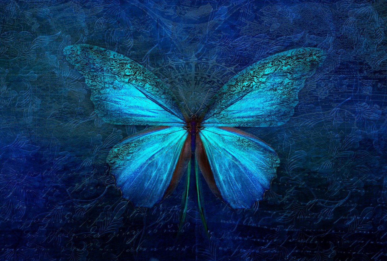 a blue butterfly sitting on top of a piece of paper, fine art, artwork, mobile wallpaper, an abstract spiritual background, beautiful design