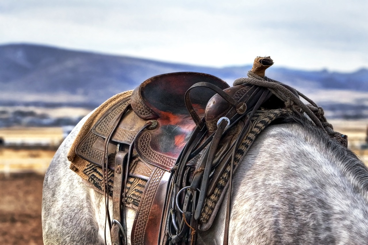 a close up of a saddle on a horse, a picture, by Linda Sutton, pexels, gray mottled skin, beautiful scenery, hunting, iphone background