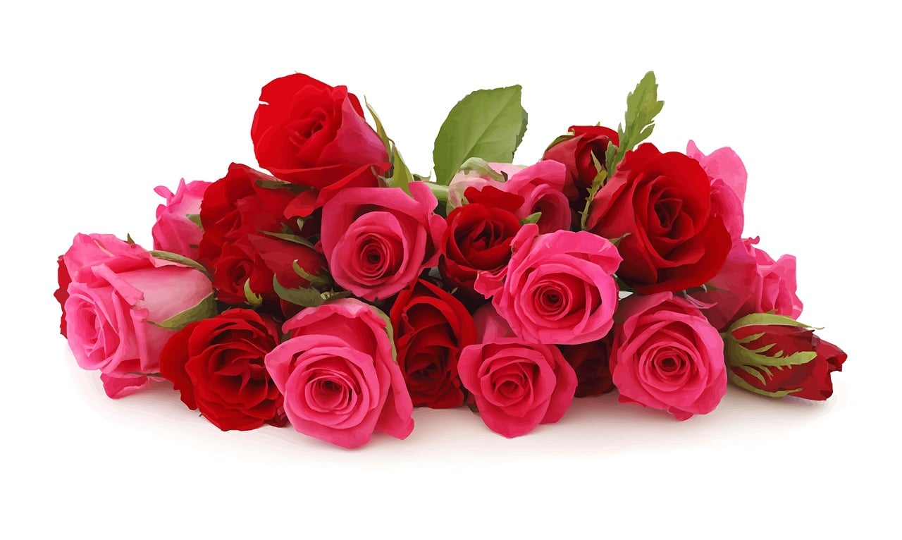 a bunch of red and pink roses on a white surface, shutterstock, high res, rich deep pink, hi resolution, highly no detailed