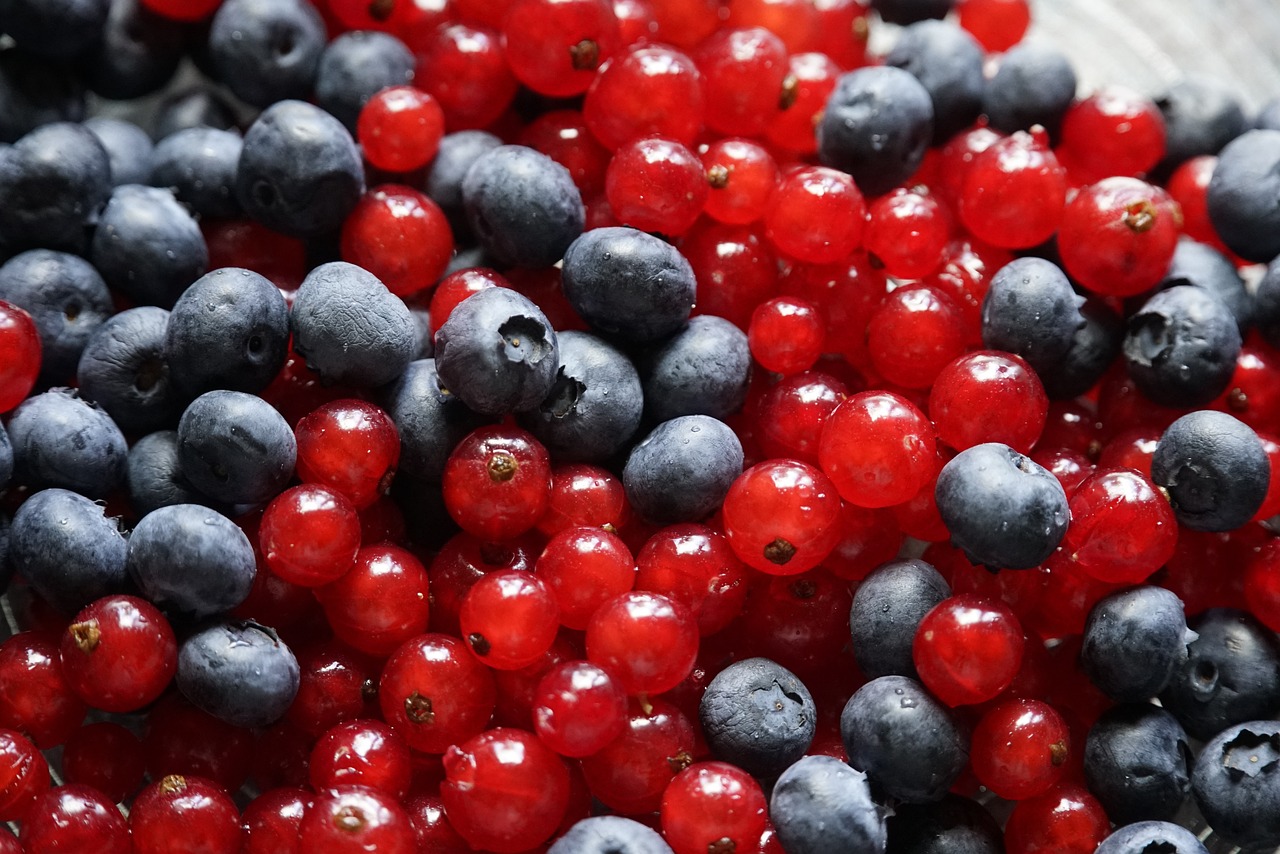 a close up of a bowl of blueberries and red currans, a picture, by Dietmar Damerau, renaissance, avatar image, beads of sweat, closeup photo, patriotic