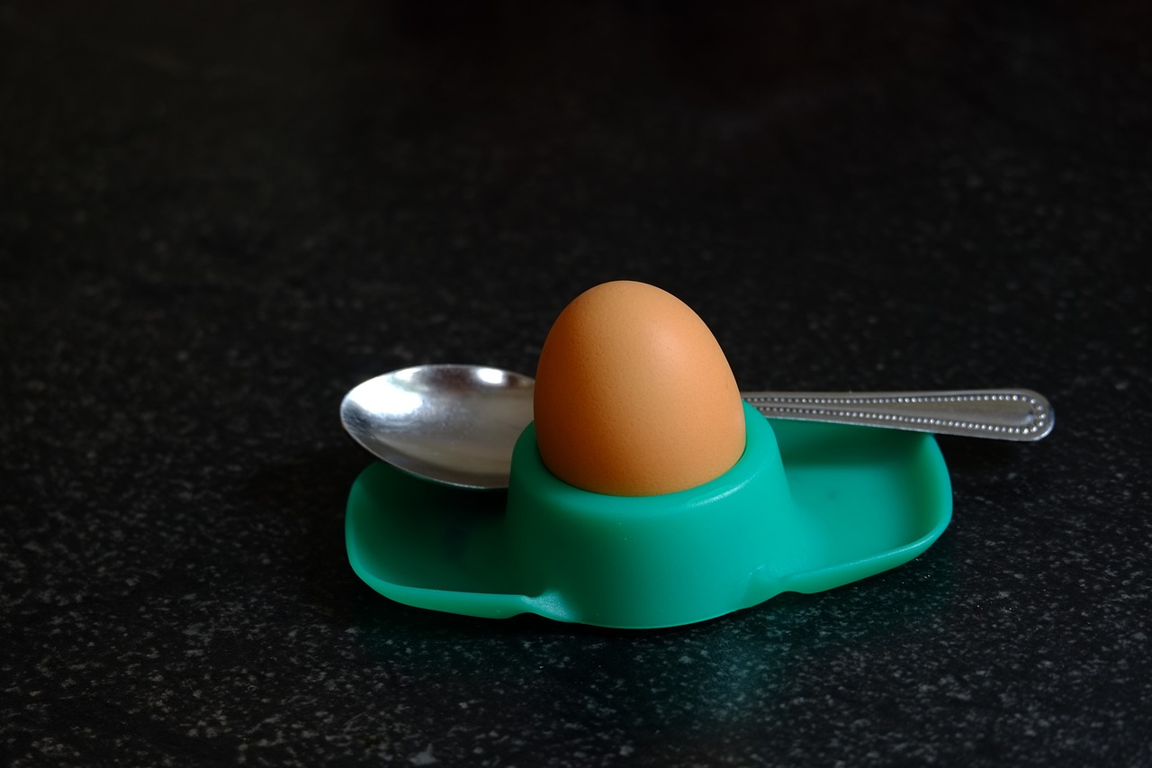 an egg sitting on top of a plate next to a spoon, by Jan Rustem, flickr, green head, at the counter, stock photo, instrument