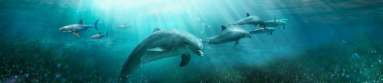 a group of dolphins swimming in the ocean, concept art, by Alexander Kucharsky, twins, c 4 d ”, ancient”, closeup!!!!!!