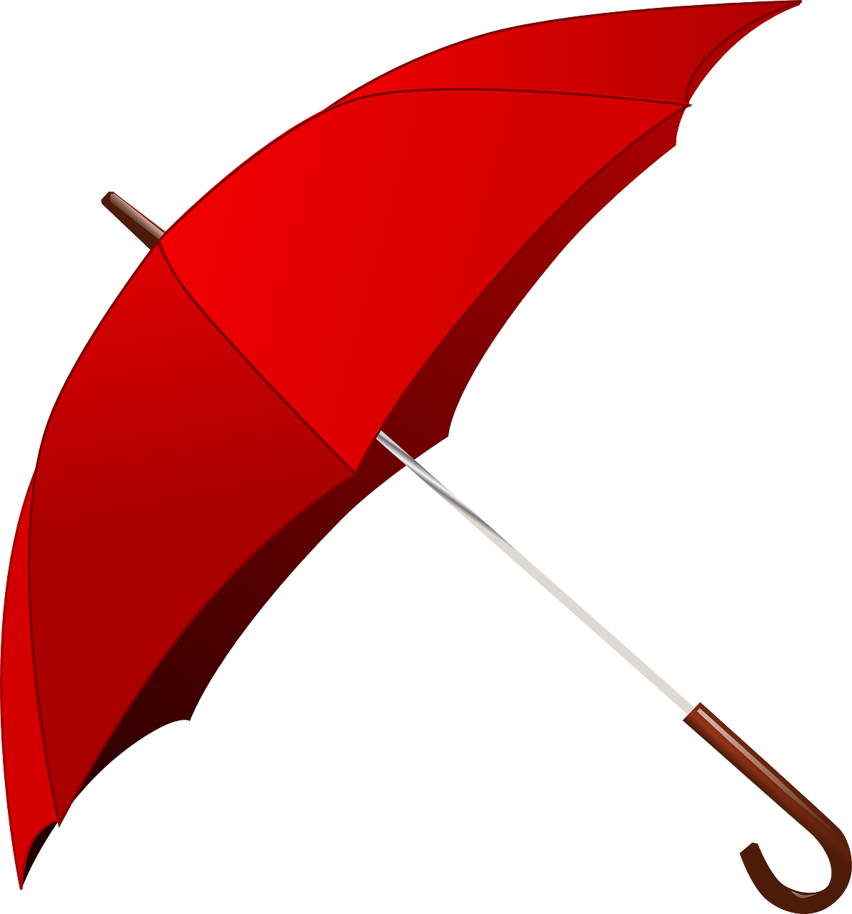 a red umbrella with a wooden handle on a white background, by Ramón Silva, vector images, three quarter angle, rails, leave