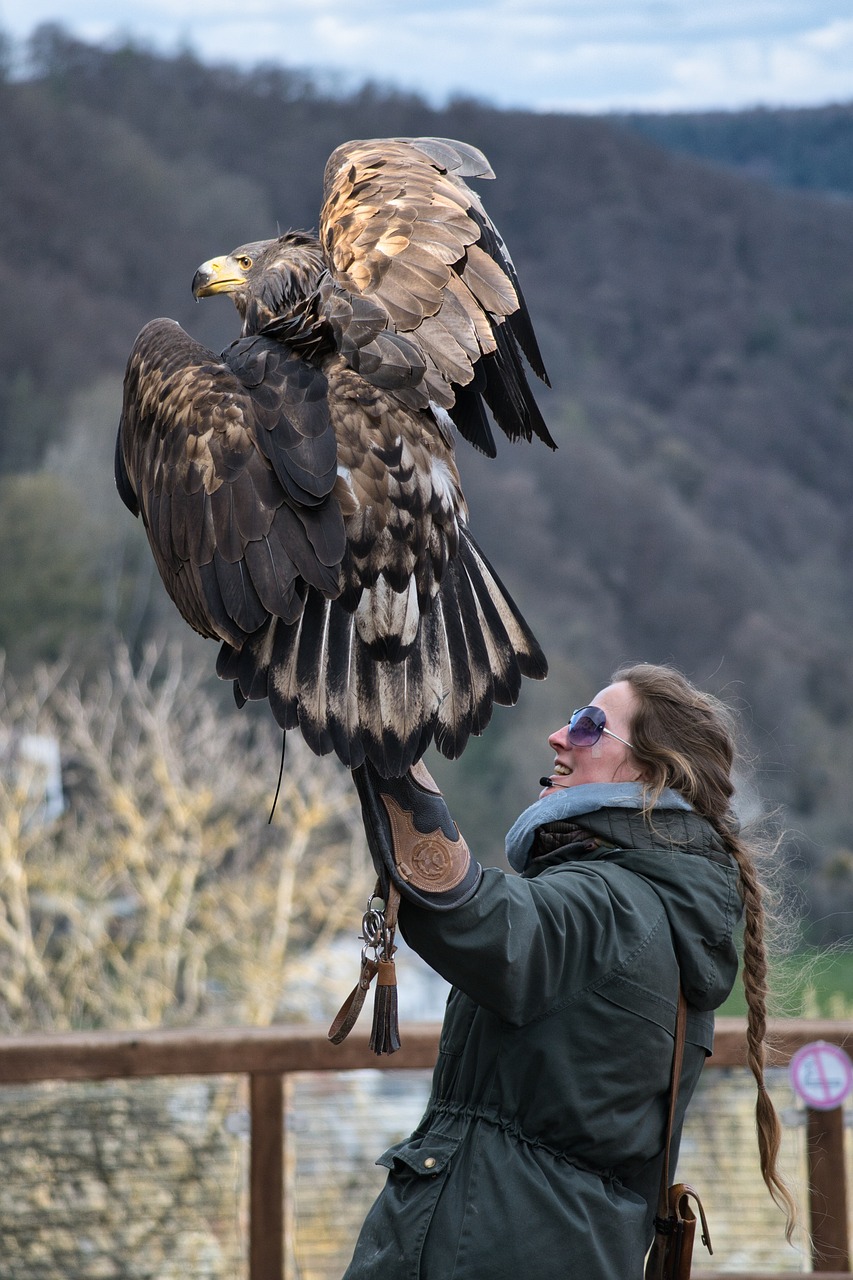 a woman holding a large bird of prey, 🦩🪐🐞👩🏻🦳, in scotland, dynamic!!, niele toroni