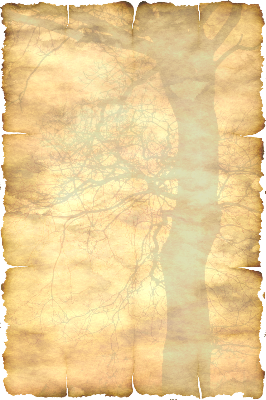 an old piece of paper with a tree on it, a screenshot, inspired by Derold Page, baroque, scratched photo