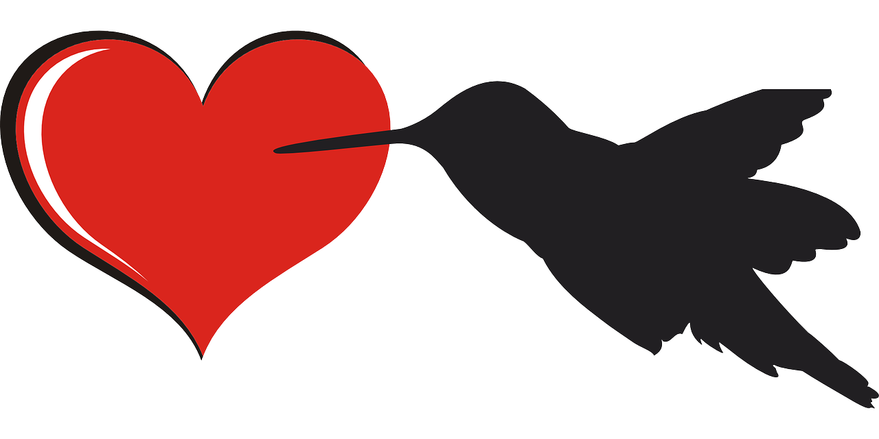 a hummingbird and a red heart on a white background, pixabay, long thick shiny black beak, stylized silhouette, local close up, negative space is mandatory