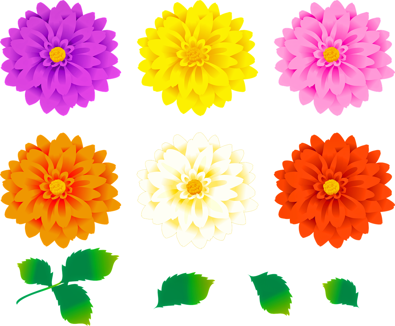 a bunch of different colored flowers on a black background, vector art, sōsaku hanga, dahlias, seasons!! : 🌸 ☀ 🍂 ❄, clip art, version 3