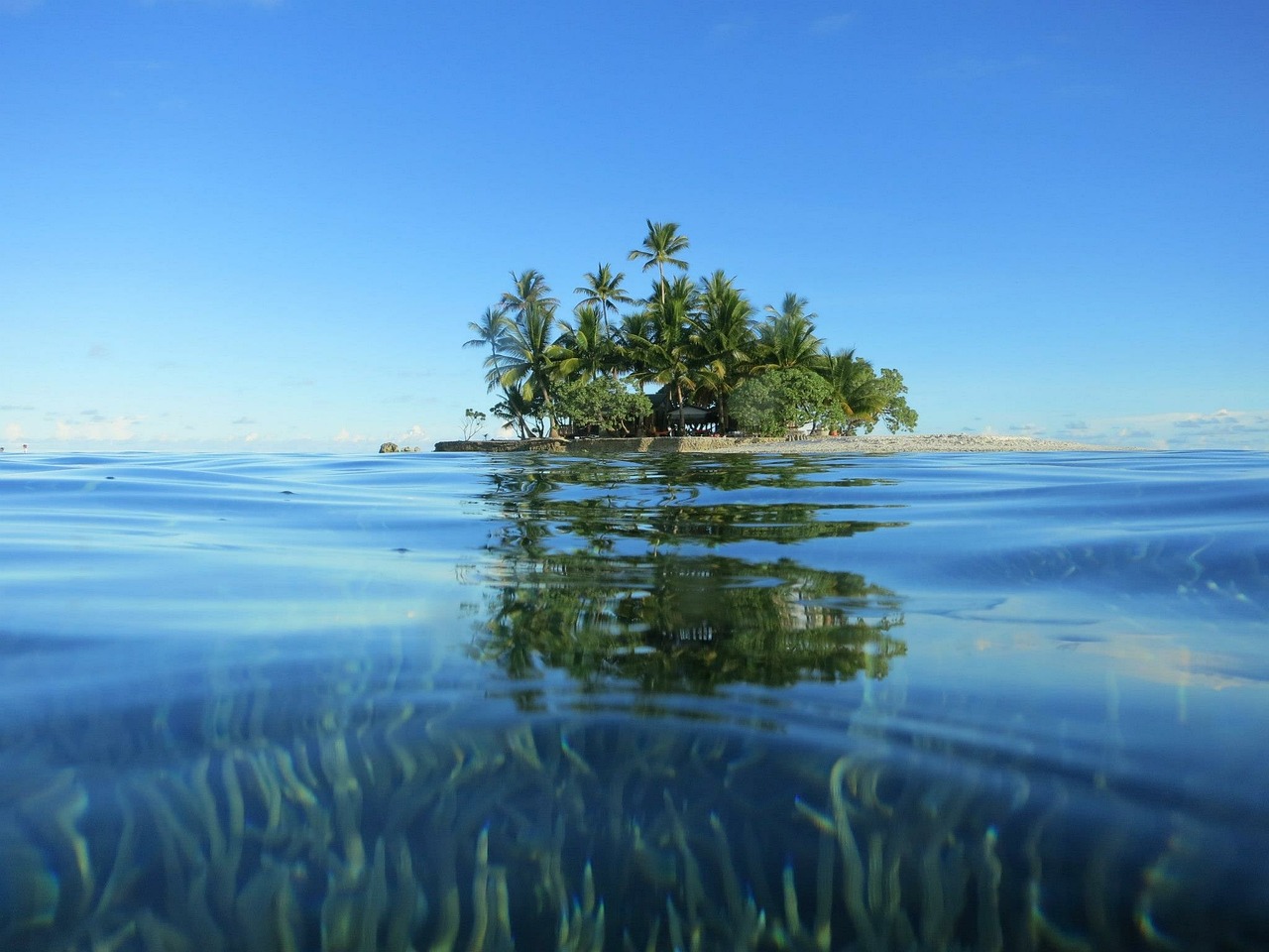 a small island in the middle of the ocean, by Scarlett Hooft Graafland, flickr, sumatraism, lush oasis, shallow depth, palm trees james gurney, fish shoal