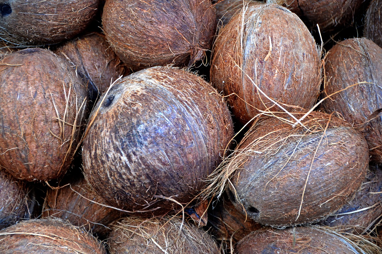 a pile of coconuts sitting on top of each other, a portrait, pexels, seamless texture, regular sized, megascans texture, 90 60 90