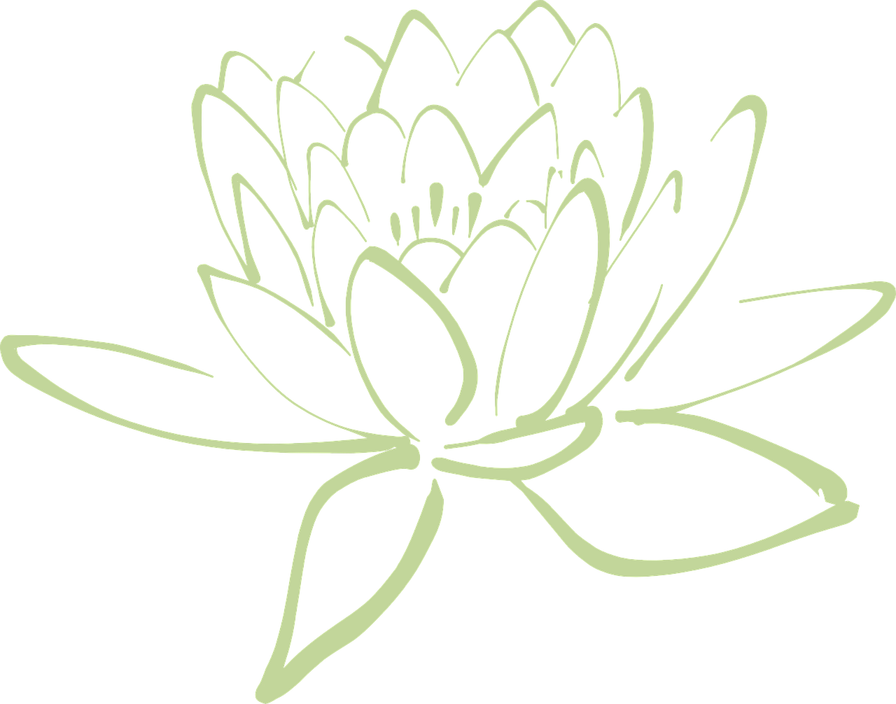 a drawing of a lotus flower on a black background, pale green backlit glow, clean black outlines, side, oct