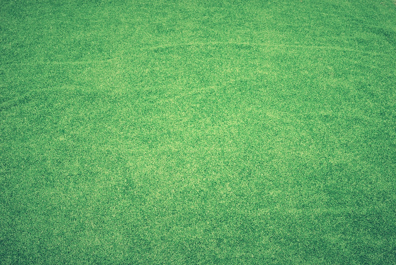 a white frisbee sitting on top of a lush green field, a stock photo, shutterstock, color field, carpeted floor, retro effect, stylized grass texture, on a soccer field