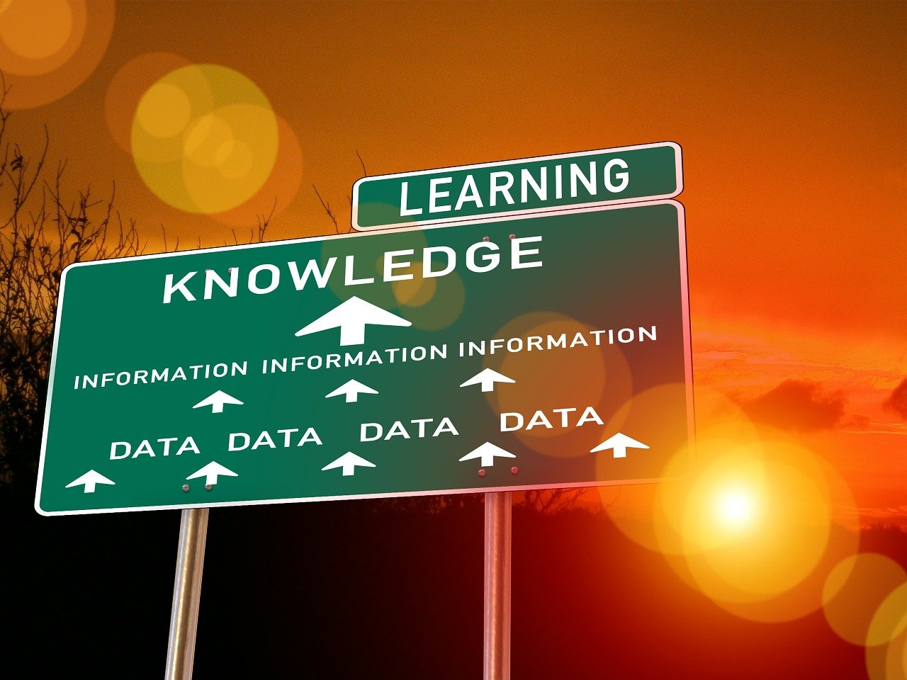 a street sign pointing to learning, knowledge, information, data, data data data data data data data data data data data data data, by Gwen Barnard, digital art, istock, knee, sage, document photo