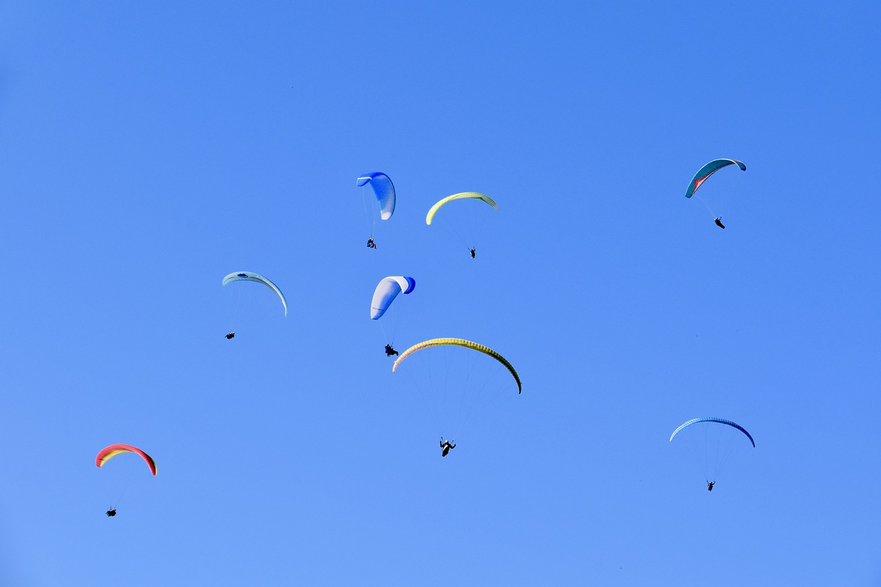 a group of people flying kites in a blue sky, a picture, figuration libre, skydiving, wide shot photo, 1128x191 resolution, flying beetles