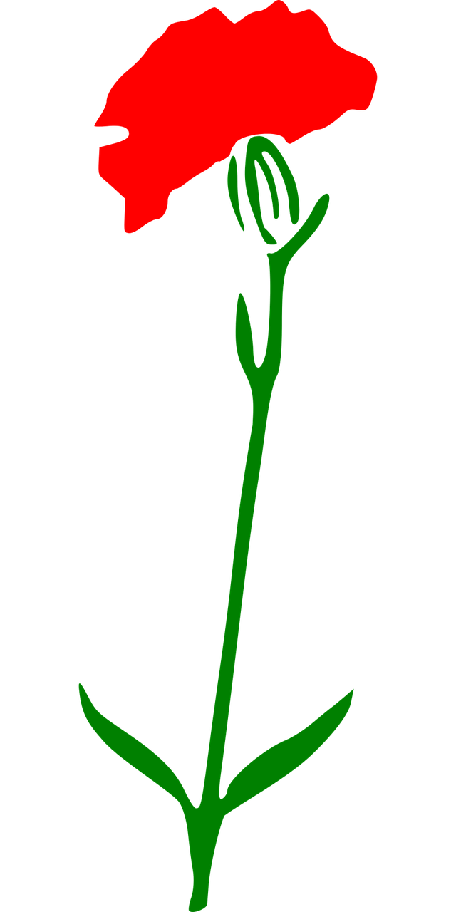 a red flower with green stems on a black background, a raytraced image, reddit, cell shaded adult animation, stick figure, rose twining, background image