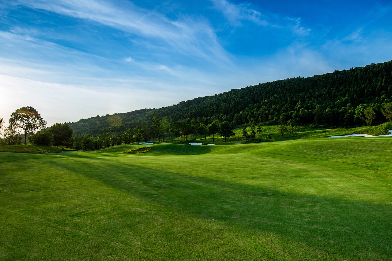 a green golf course with a mountain in the background, a picture, by Etienne Delessert, shutterstock, baroque, forest clearing landscape, super long shot, joongwon jeong, wide-angle photograph