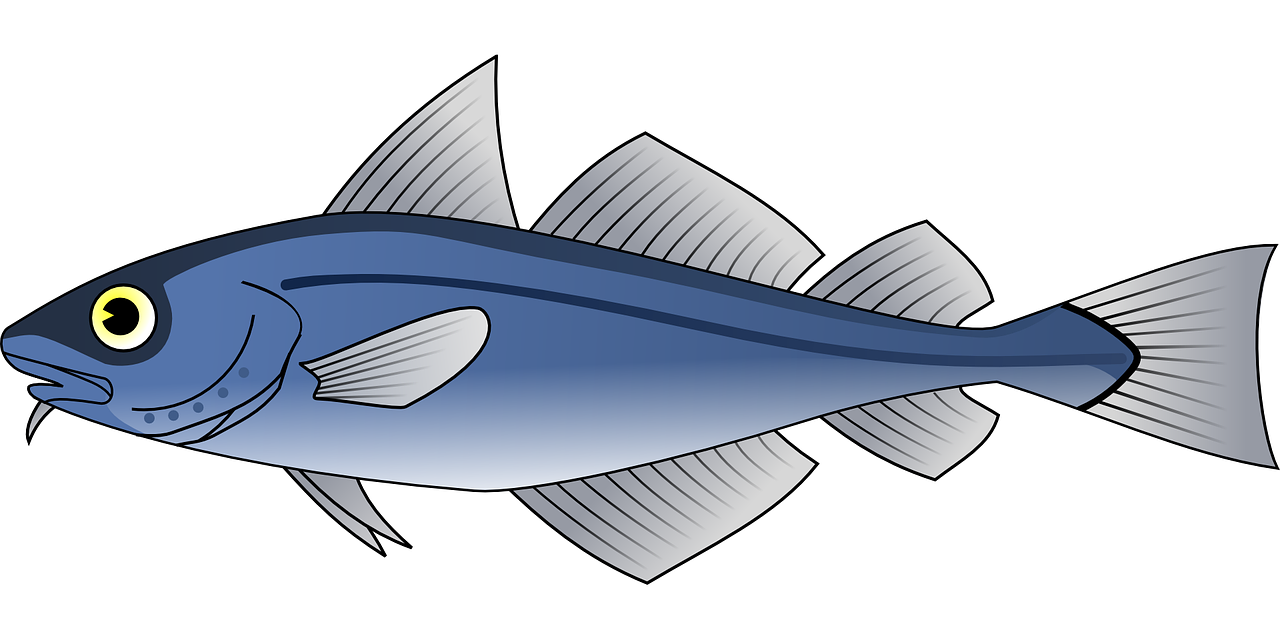 a close up of a fish on a black background, an illustration of, by Jens Søndergaard, trending on pixabay, blue shark, cell shaded cartoon, large tail, wide long shot