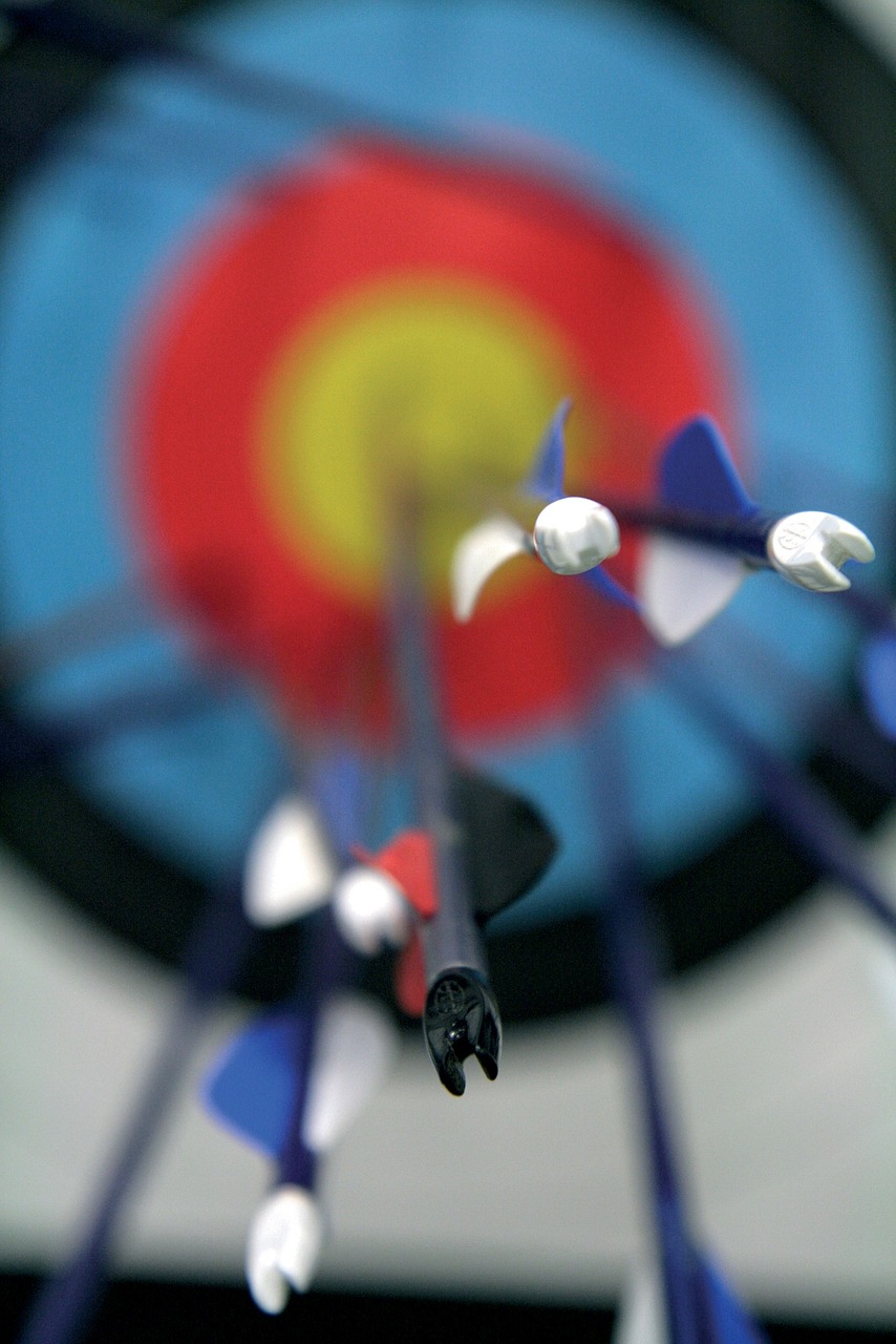 a close up of arrows in front of a target, by Paul Davis, flickr, hurufiyya, istockphoto, shot on kodak vision 200t, tournament, 1 / 4 portrait