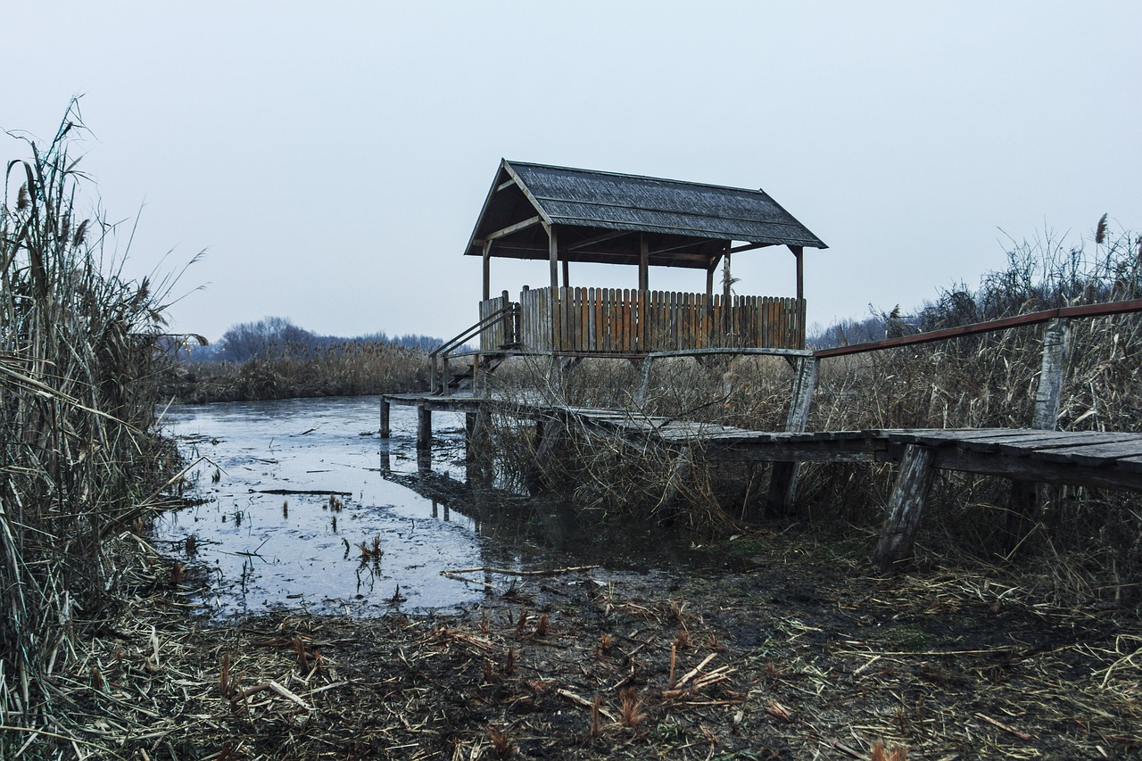 a wooden dock sitting next to a body of water, a picture, by Aleksander Kobzdej, renaissance, abandoned gas station, reed on riverbank, in the rain in the early evening, set photo