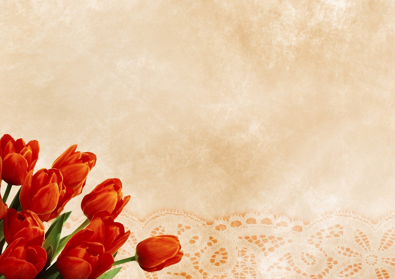 a bouquet of red tulips sitting on top of a table, a picture, romanticism, lace, textured parchment background, high res photo, restaurant menu photo