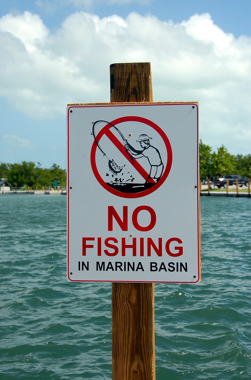 a sign that says no fishing in marina basin, by Scott M. Fischer, purism, sfw version, no flash, karolina cummings, mma