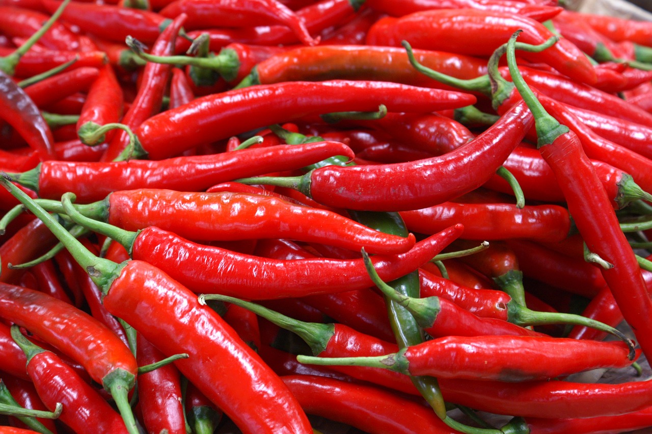 a pile of red hot peppers sitting on top of a table, shiny silver, istockphoto, long chin, high res photo