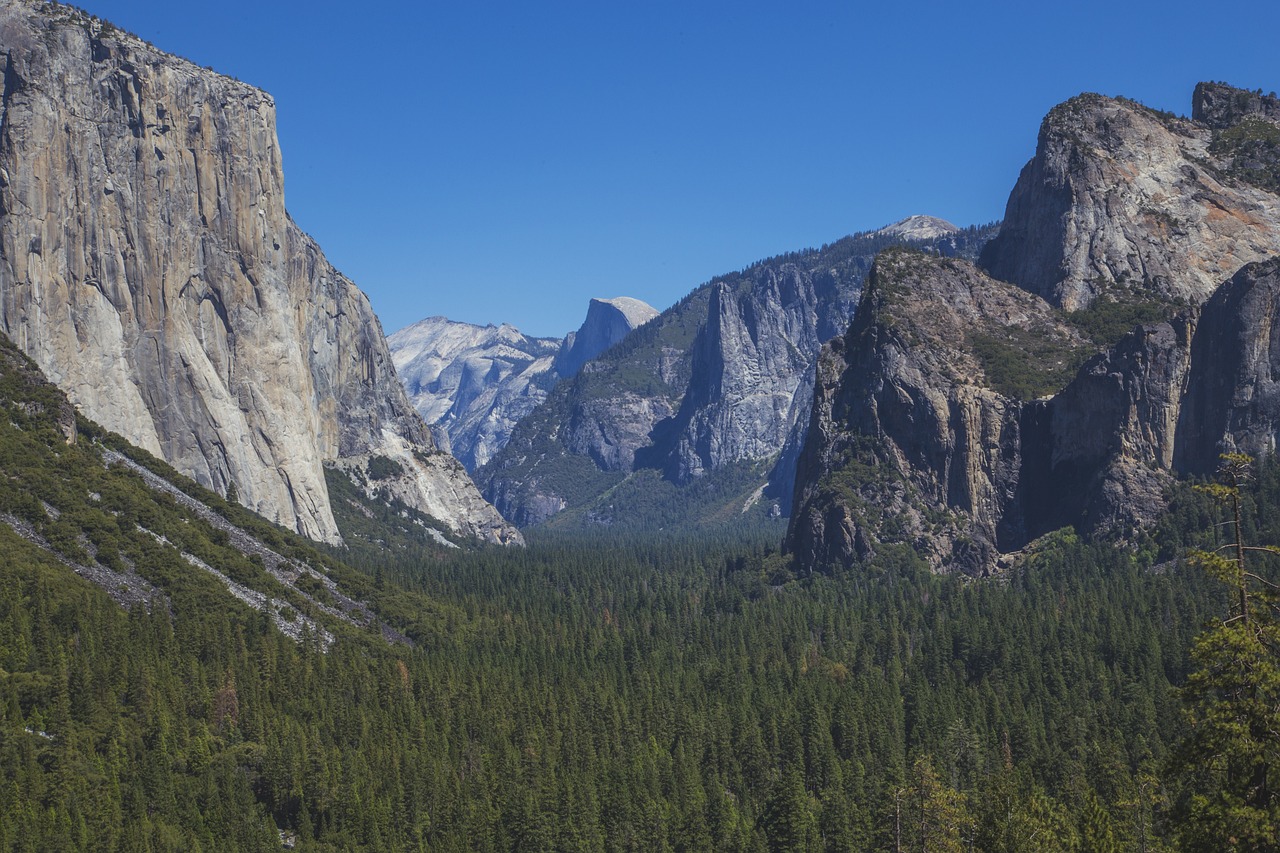 a man riding a horse through a lush green forest, a picture, by Randall Schmit, shutterstock, yosemite valley, view from high, rock formations, panoramic