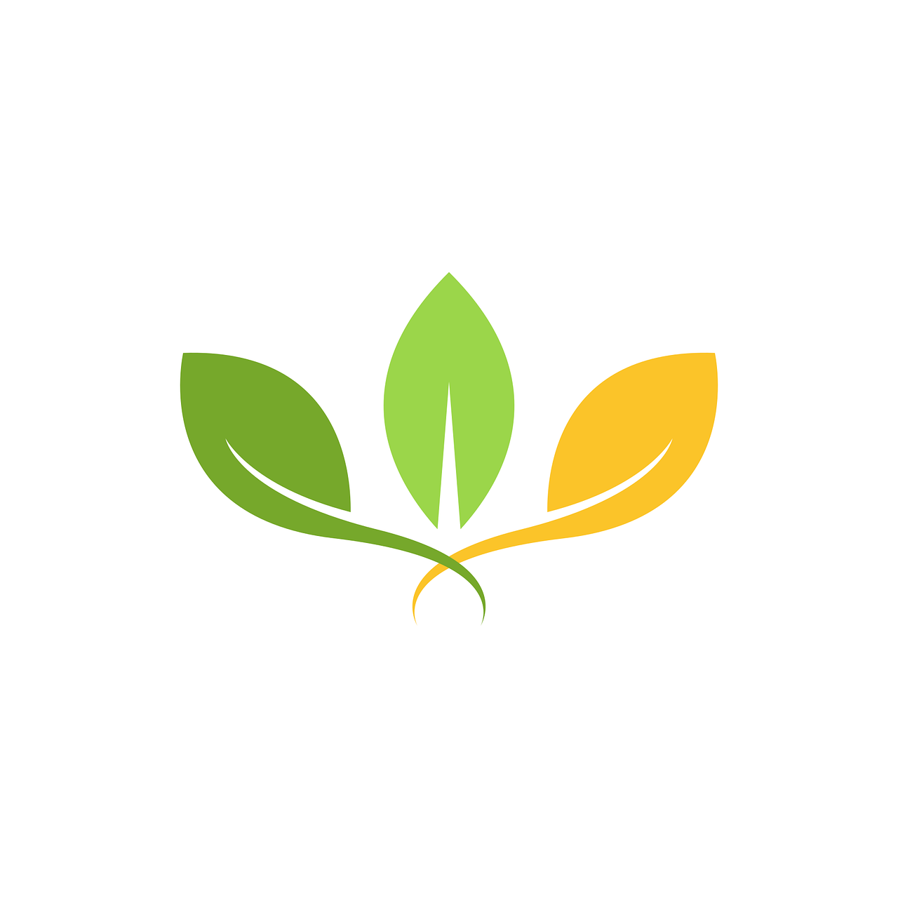 a green and yellow leaf logo on a white background, a picture, full res, flat color, various posed, buddhist