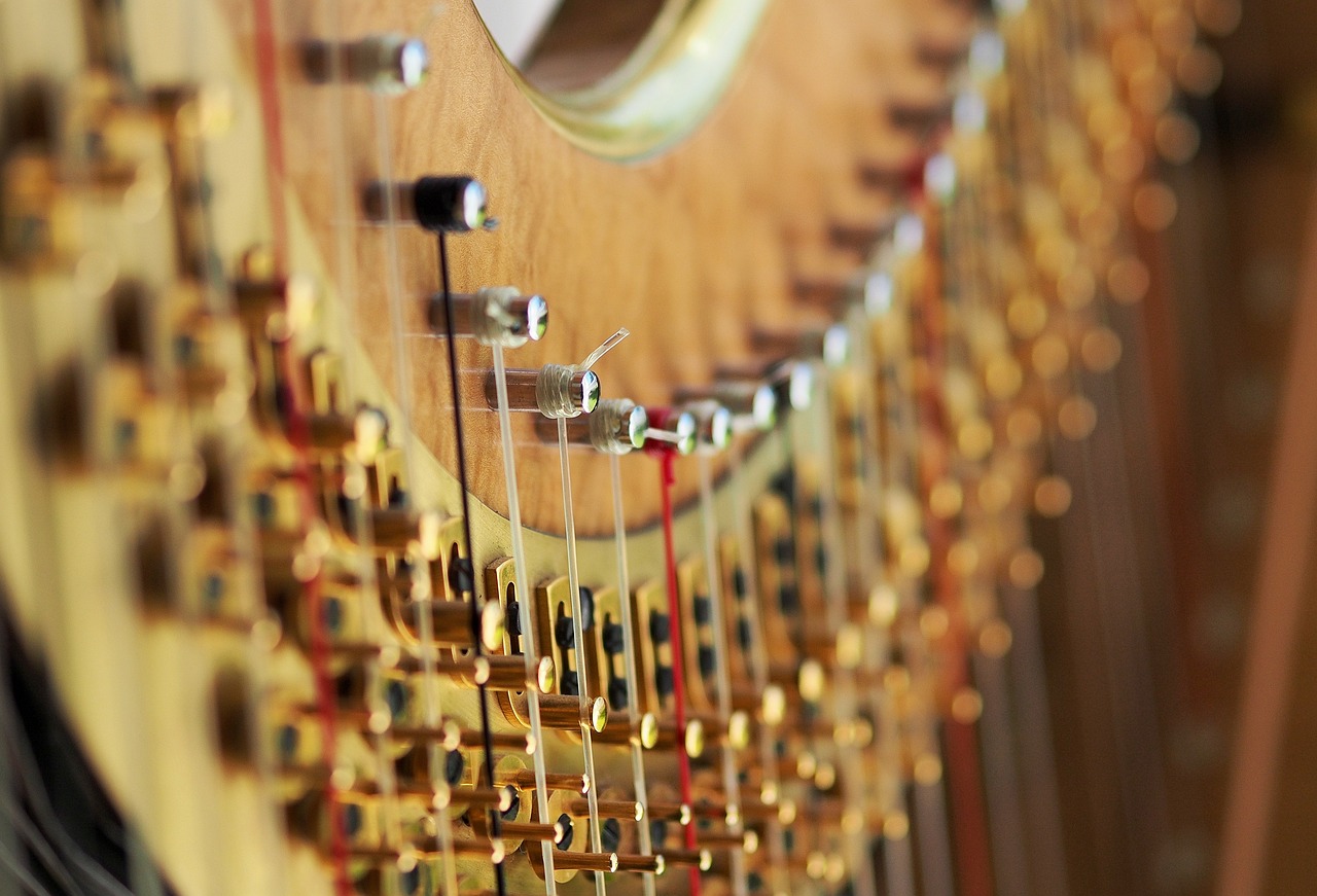 a close up of the strings of a harp, a tilt shift photo, by Eugeniusz Zak, extremely highly detailed, speakers, golden threads, very very very highly detailed