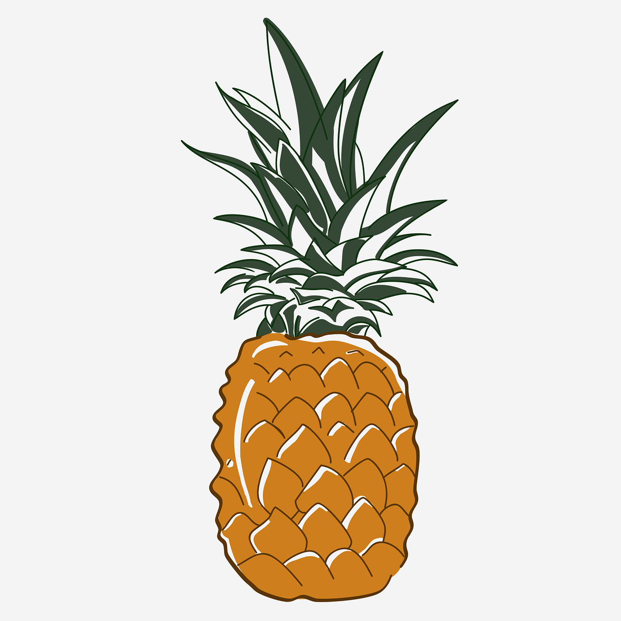 a drawing of a pineapple on a white background, pop art, flat cel shaded, colored woodcut, view from bottom to top, on a gray background