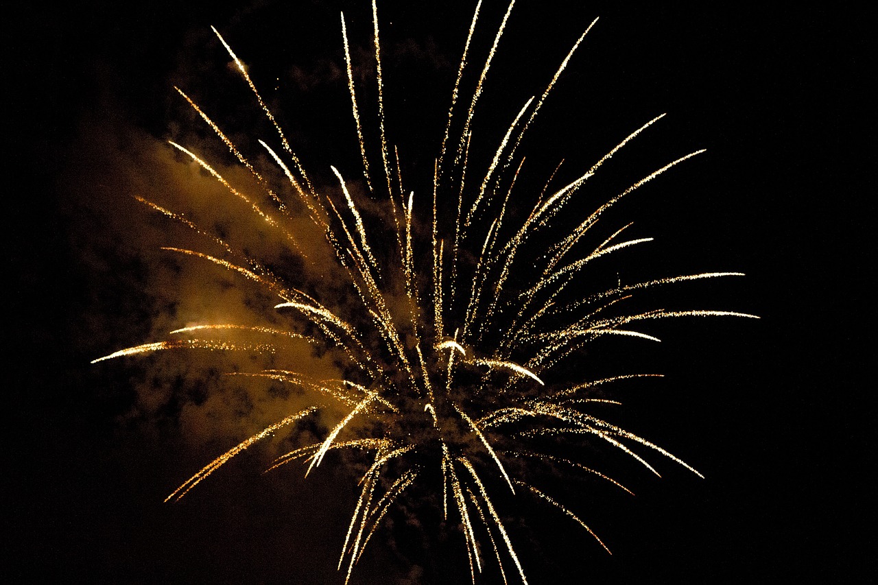a fireworks is lit up in the night sky, a picture, by Tom Carapic, gold glow, file photo, dazzling lights, alex boyd