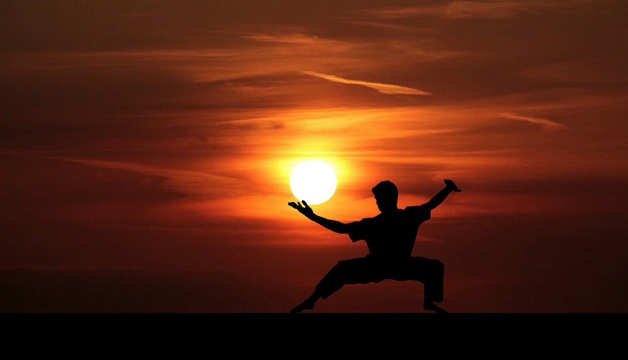 a person doing a yoga pose in front of the sun, a picture, inspired by Liao Chi-chun, character from mortal kombat, doing a kick, 2019 trending photo, changquan