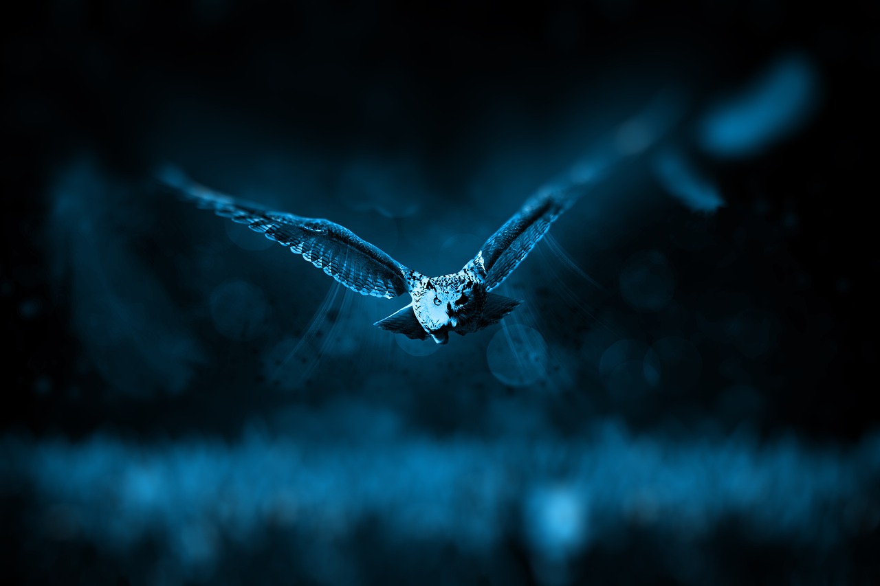 a bird that is flying through the air, by Adam Marczyński, trending on pixabay, digital art, blue bioluminescent plastics, nite - owl, blue toned, ultra hd wallpaper