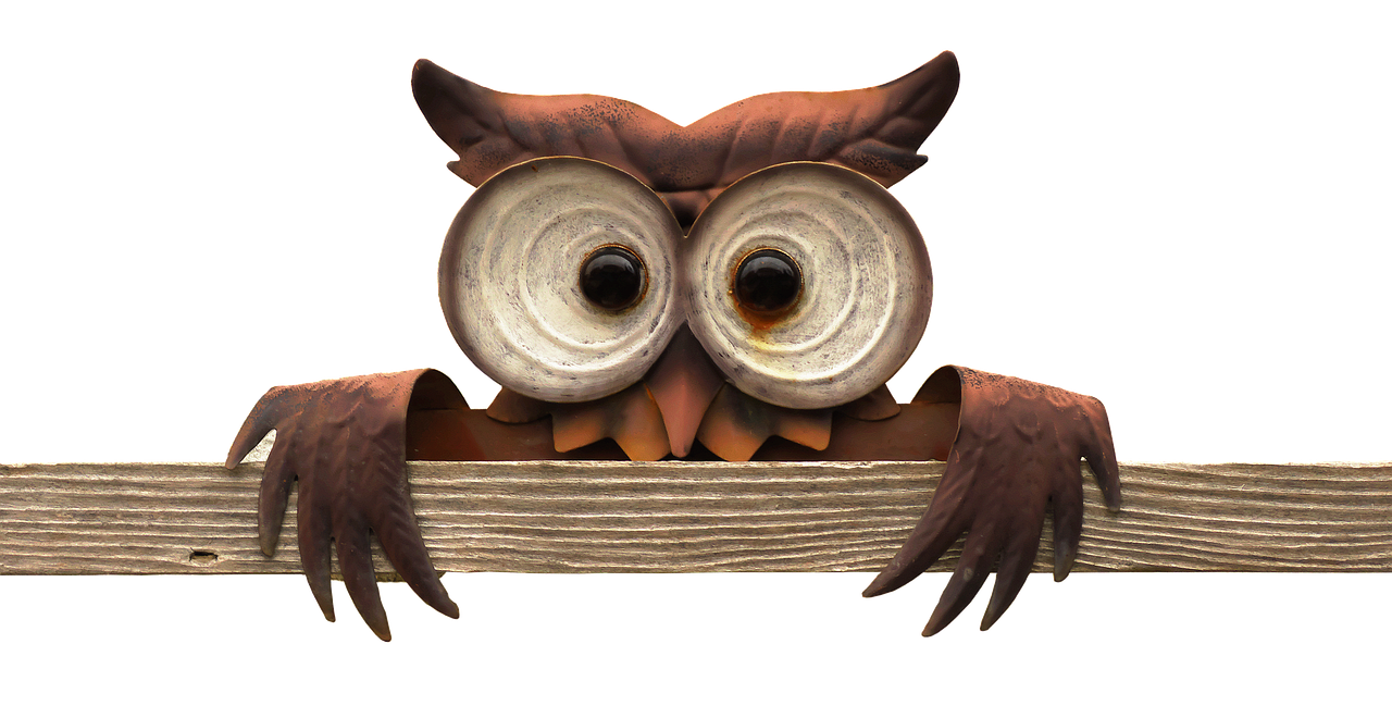 a metal owl sitting on top of a wooden fence, a digital rendering, librarian, wide eyed, advertising photo, full res