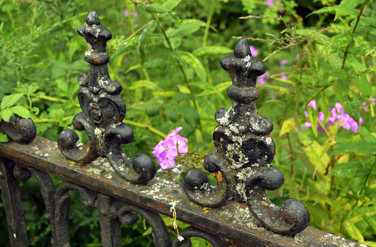 a close up of a metal fence with flowers in the background, by Richard Carline, flickr, folk art, lichen, old bridge, small stature, parapets