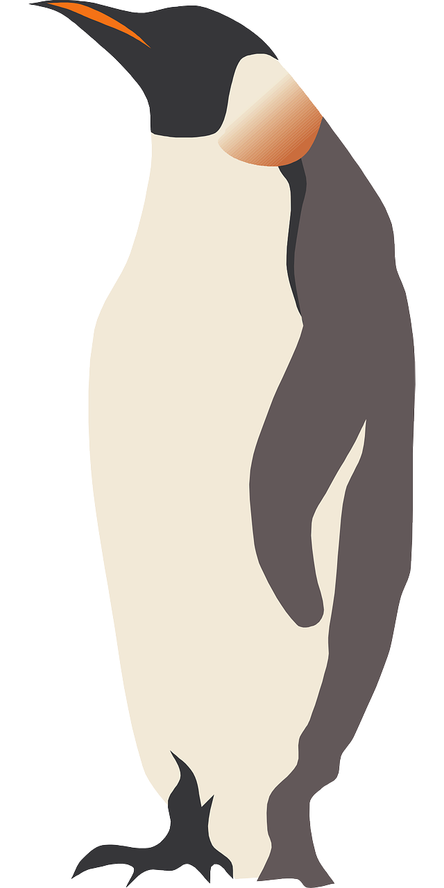 a penguin standing in front of a white background, a digital rendering, inspired by Will Barnet, figuration libre, muted arm colors, shows a leg, white fur and dark skin, the dress\'s lower