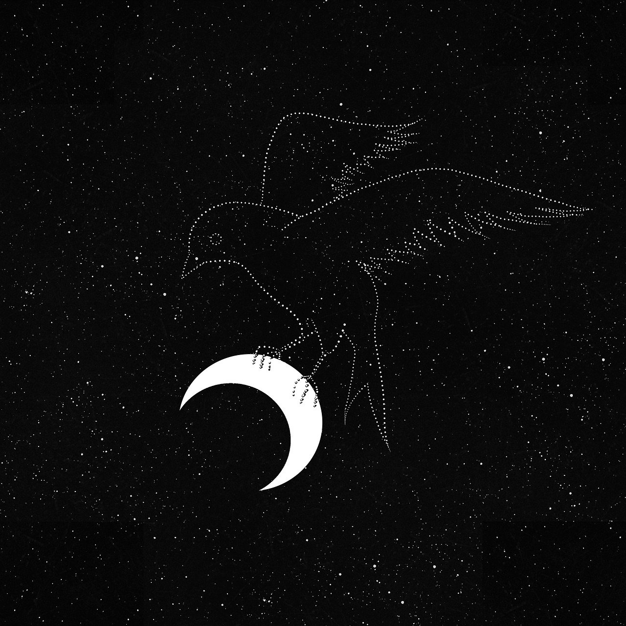 a bird that is flying in the sky, an album cover, inspired by Aldus Manutius, tumblr, black sky with stars, dark linework, mobile wallpaper, white moon