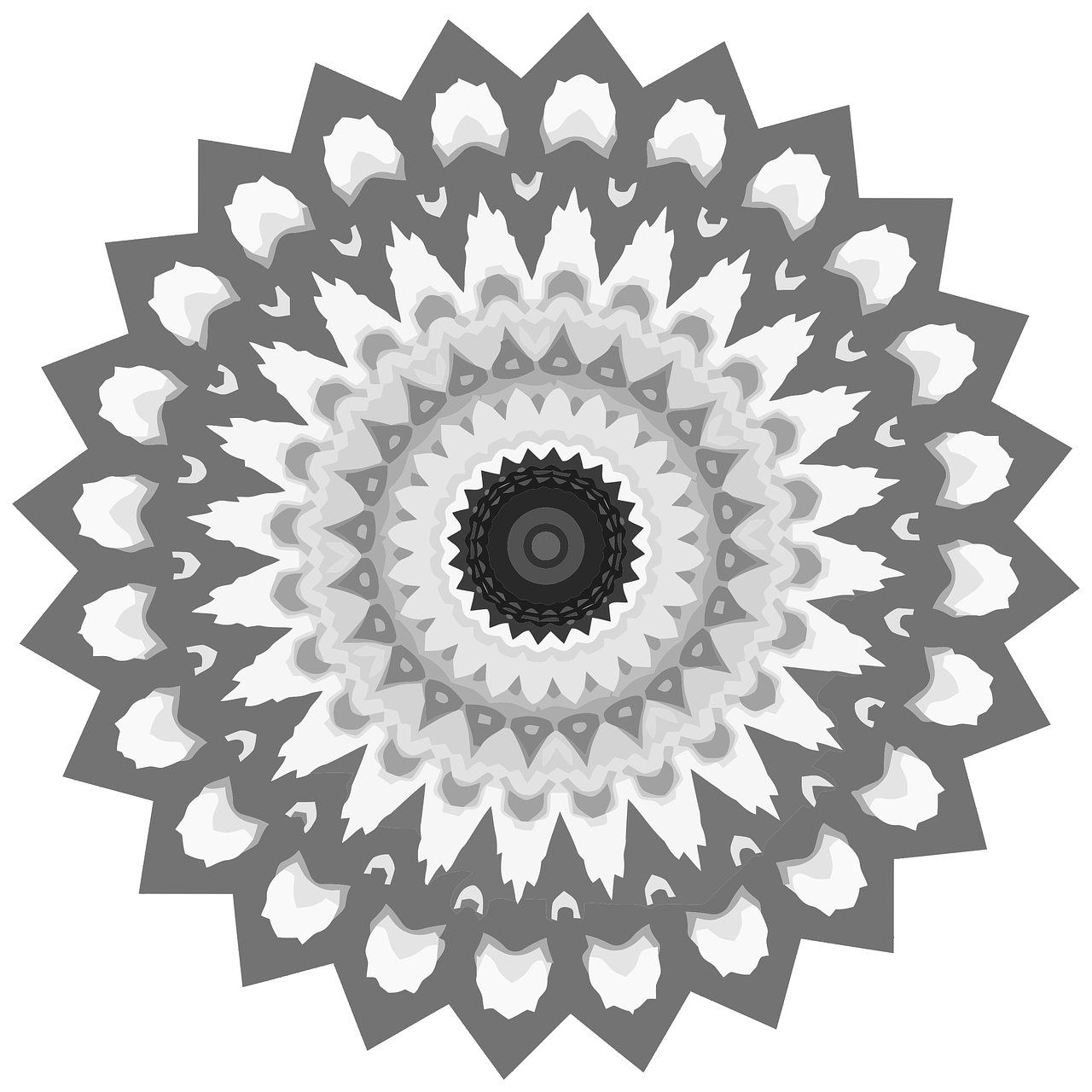 a black and white image of a flower, a digital rendering, inspired by Benoit B. Mandelbrot, colorful mandala, charcoal and silver color scheme, white background and fill, sharp focus vector centered