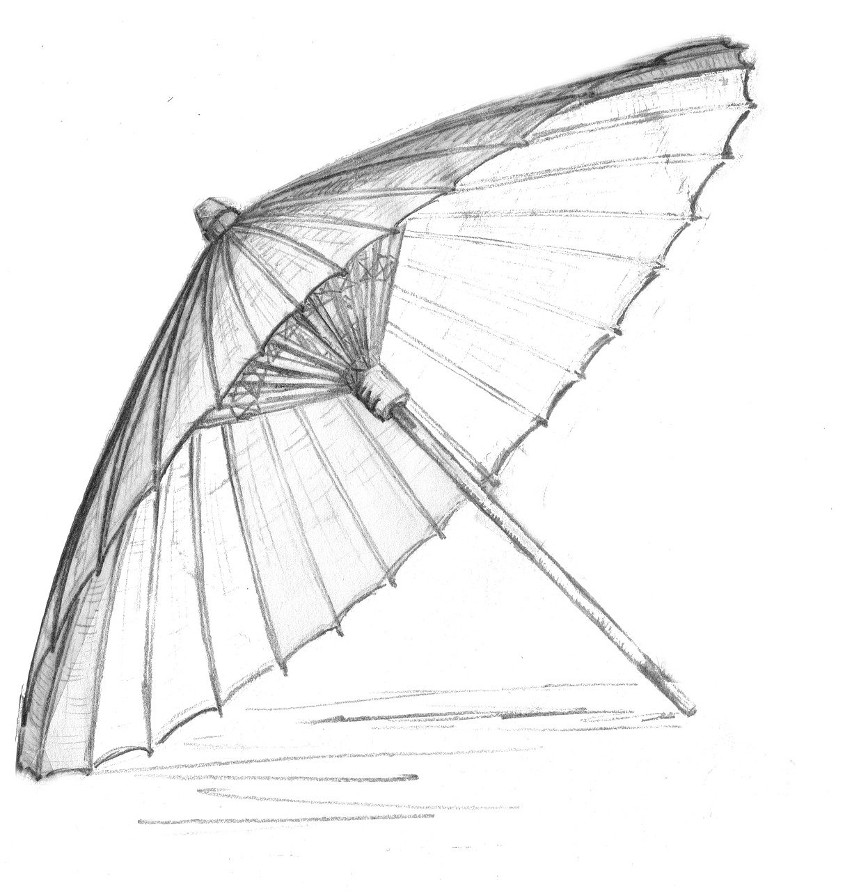 a black and white drawing of an umbrella, a pencil sketch, inspired by Kanō Mitsunobu, deviantart, raytraced blade, front side view full sheet, bamboo, style of alan lee and john howe