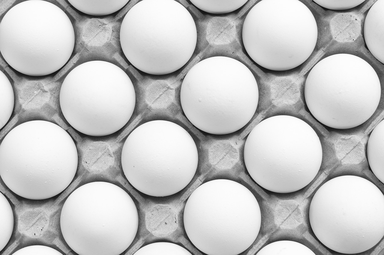 a bunch of eggs that are in a carton, a black and white photo, by Andrew Domachowski, precisionism, tileable, 🦑 design, albuquerque, panel