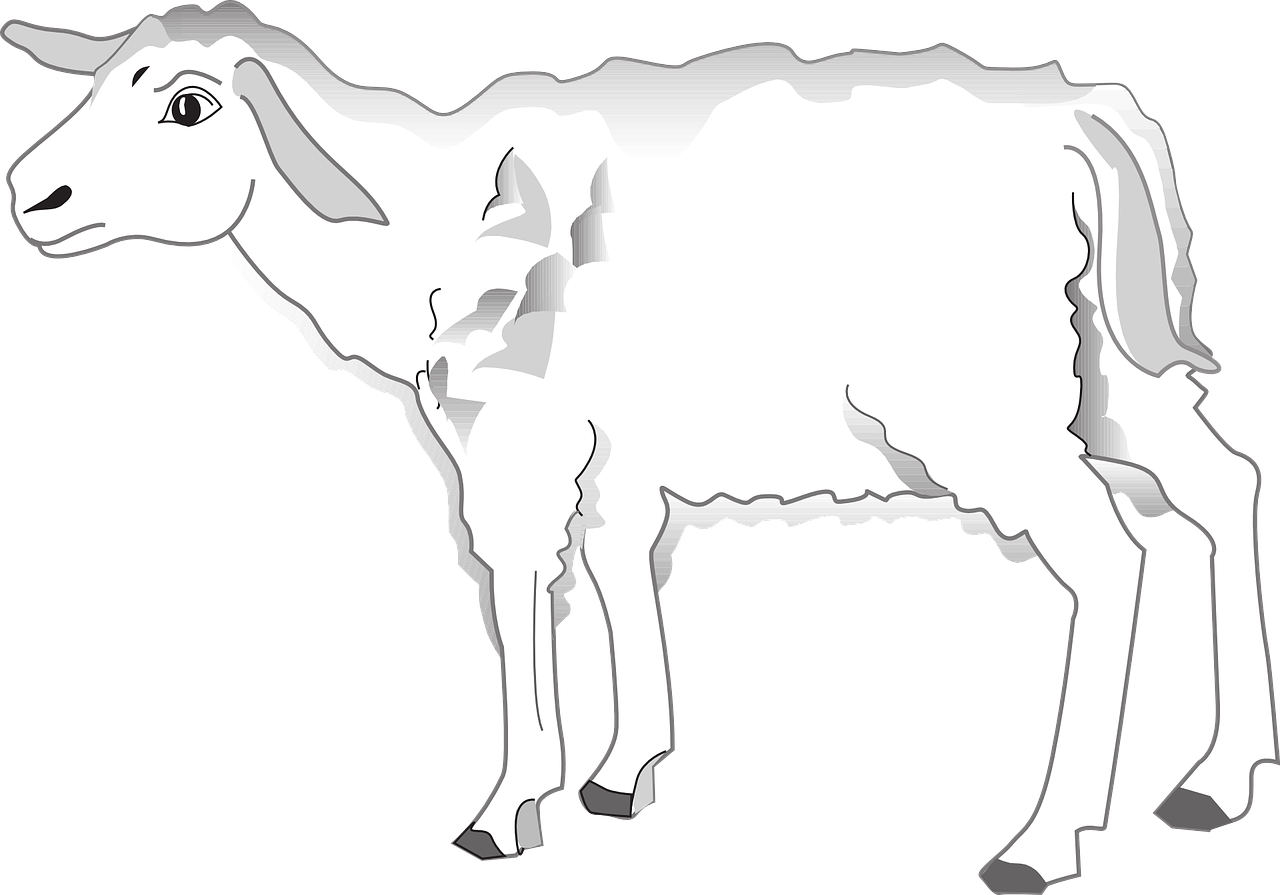 a white goat standing in front of a black background, lineart, inspired by Masamitsu Ōta, pixabay, mingei, that resembles a bull\'s, cell shaded adult animation, on white, animation still