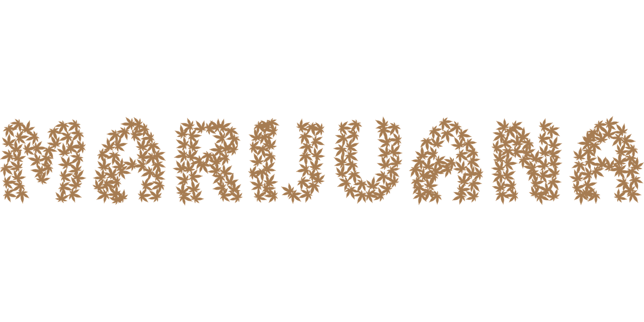 a word made out of leaves on a black background, a digital rendering, hurufiyya, nirvana, cannabis!, briareus, rituals