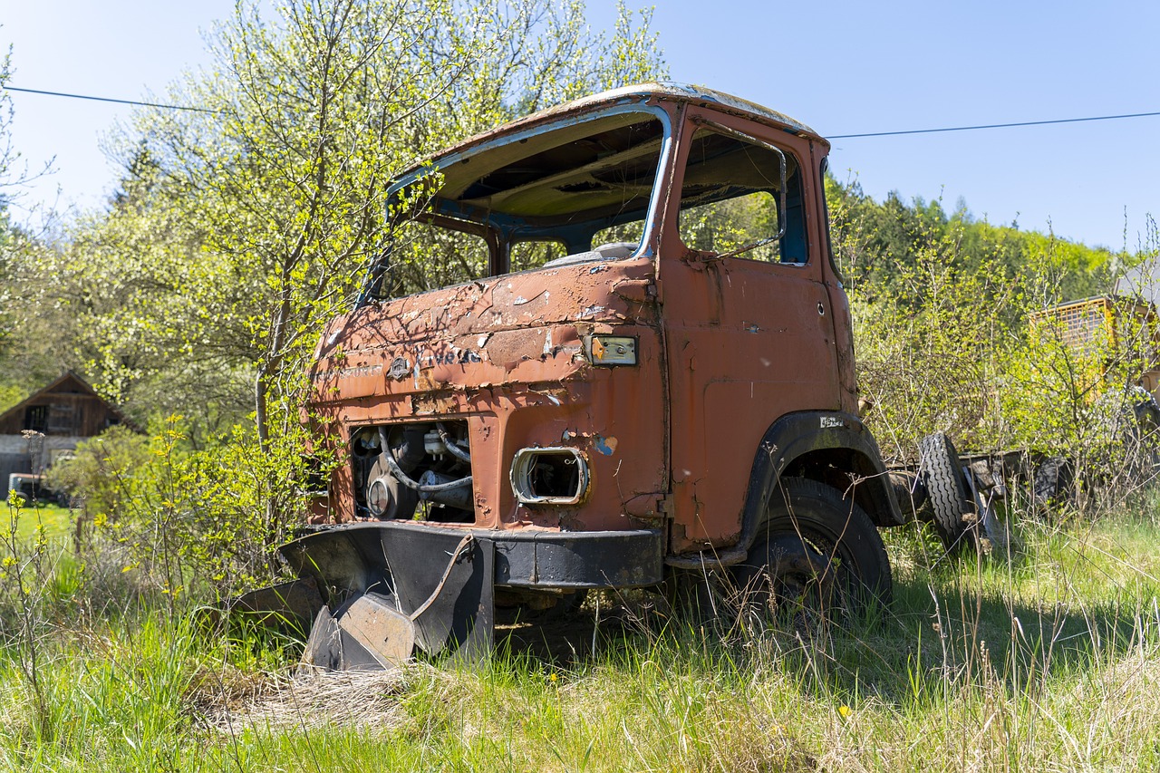 an old rusted truck sitting in a field, a portrait, by Arnie Swekel, flickr, soviet bus stop, with a few vines and overgrowth, springtime, anato finnstark. front view