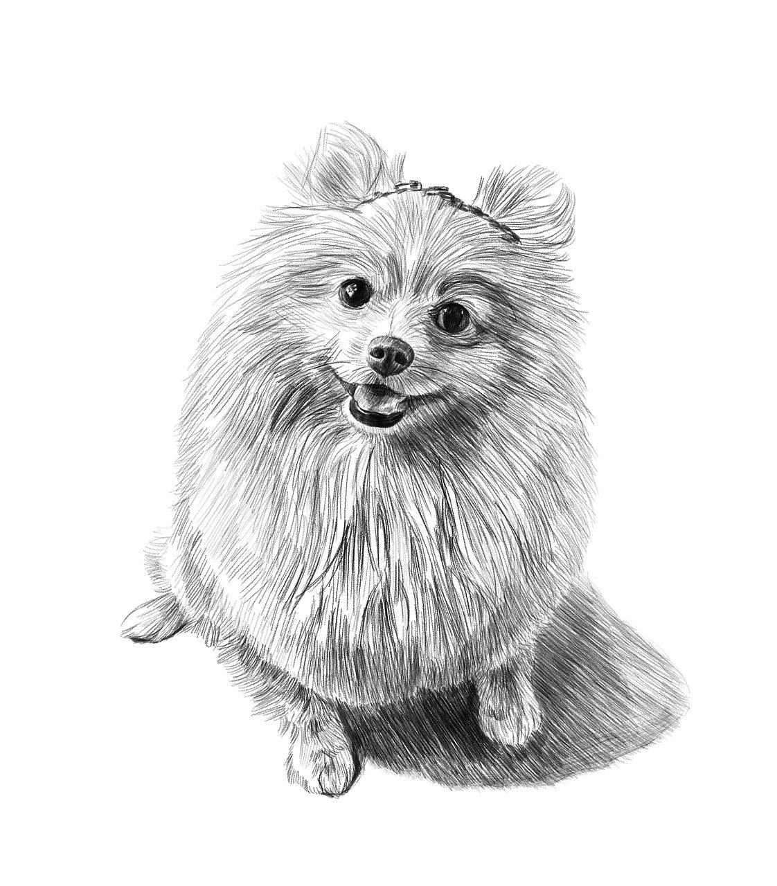 a black and white drawing of a dog, a stipple, featured on shutterstock, furry art, pomeranian mix, breed russian brown toy terrier, solo portrait 🎨🖌️, fluffy''