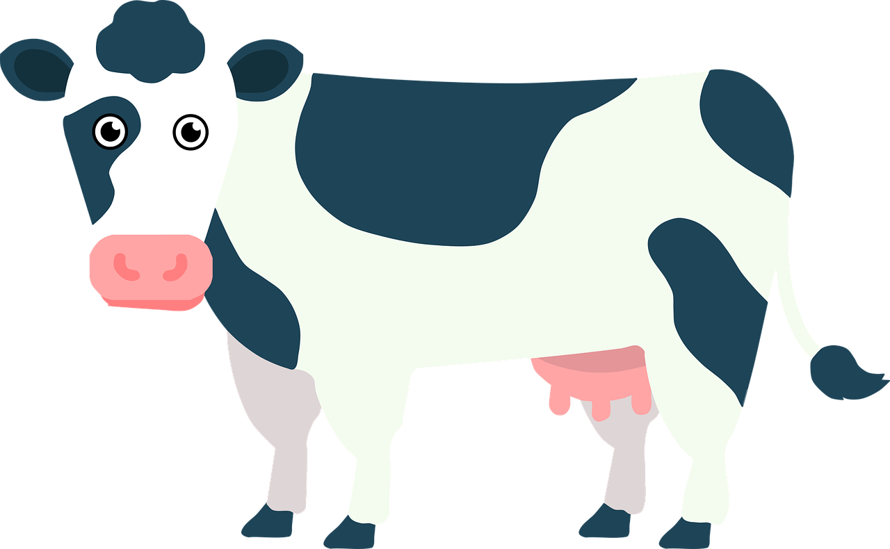 a black and white cow with a pink nose, a cartoon, pixabay, digital art, oversized_hindquarters, a brightly colored, plan, a dark
