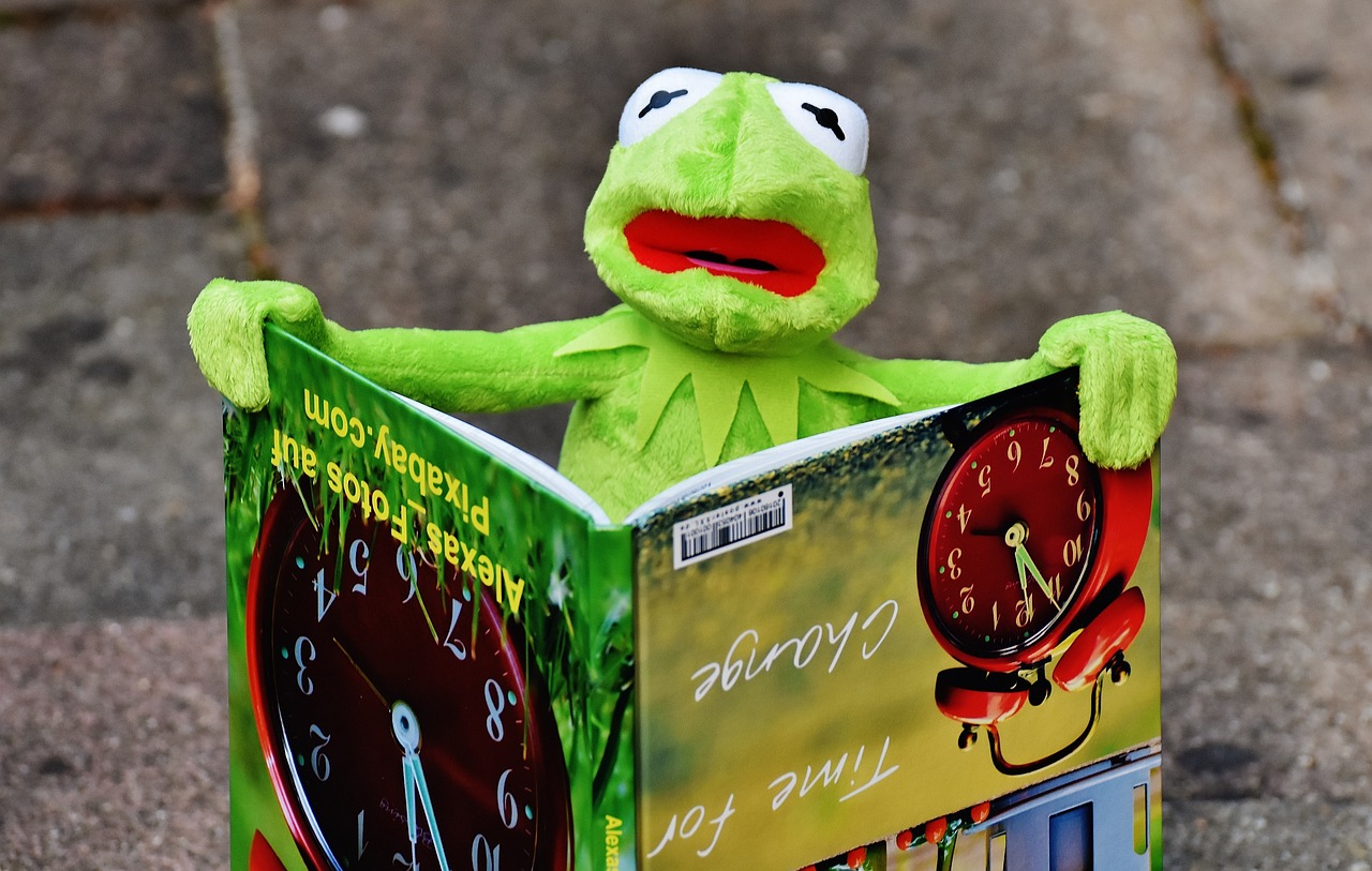 a green frog sitting on top of a book, a photo, by Alexander Fedosav, pixabay contest winner, happening, saul goodman as a muppet, caught in the flow of time, reading engineering book, teacher