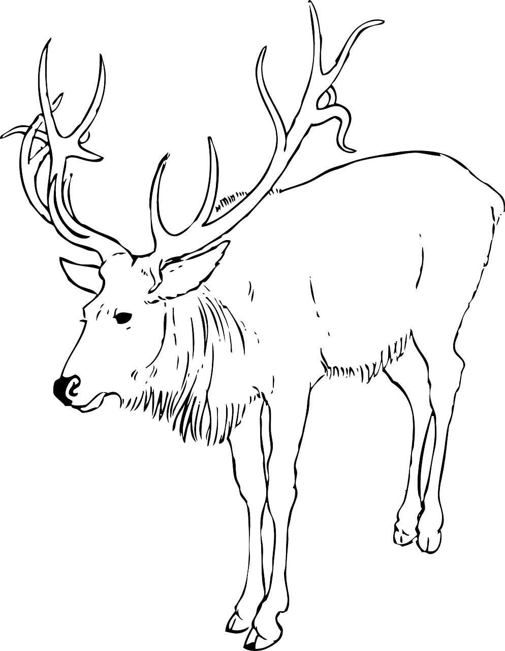 a black and white drawing of a deer, lineart, by Andrei Kolkoutine, black backround. inkscape, elk, 5d, moose