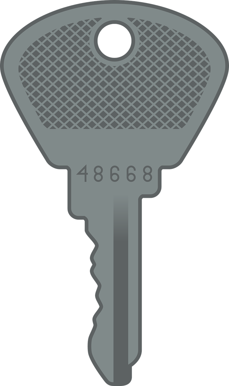 a key shaped like a tennis racket, a digital rendering, by Wayne England, pixabay, ascii art, metal key for the doors, t - 8 0 0, sennheiser, 8k detail